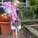 mimmi1107