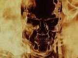 TerminatorM