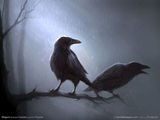 phoenixfeder