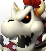 Knochenbowserfan