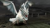 DragonJon