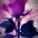 Pinkfloyd_97