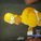 homerundspielefan