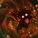 Sam_096