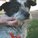 Nintendogsfan2000
