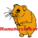 hamsterzocker