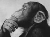 FunkeyMonkey69