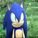 xXRazeTheHedgehogXx xXRazeTheHedgehogXx