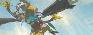 Panorama: The Legend of Zelda - Breath of the Wild: Erster Speedrunner schafft 100 Prozent in Rekordzeit Panorama: The Legend of Zelda - Breath of the Wild: Erster Speedrunner schafft 100 Prozent in Rekordzeit