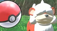 <span>Pokémon-Legenden: Arceus –</span> Hier bekommt ihr noch tolle Vorbestellerboni