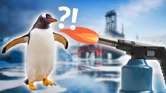 Sind die Pinguine in Battlefield 2042 etwa Roboter? (Bild: EA / Getty Images – PCH-Vector; fieldwork; mweichse)