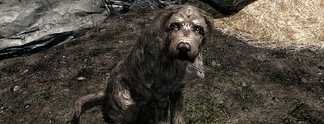 Skyrim: Spieler geht durch die Hölle, um Hund zu adoptieren