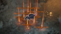 ist sich sicher: Folgt den Ratten für besseren Loot