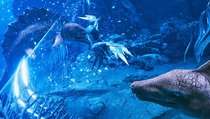 verspricht wunderschöne Unterwasser-Action