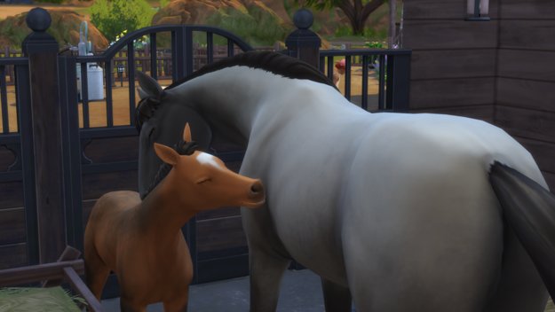 Eure Pferde in Sims 4 Pferderanch haben alle eine ganz eigene Persönlichkeit. (Screenshot GIGA)