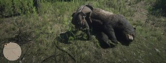 Red Dead Redemption 2: Dieser Spieler hat die Jagd perfektioniert