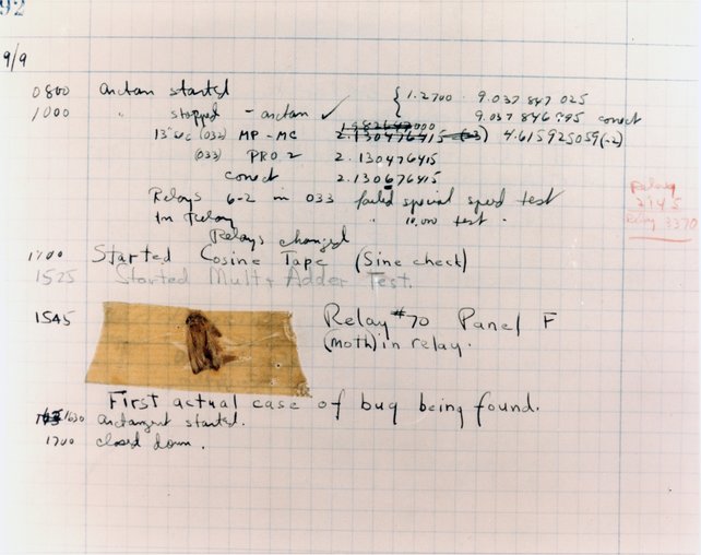 Dieser kleine Störenfried war der erste Käfer, der einen Bug ausgelöst hat. Aber er ist nicht der Ursprung der Wortbedeutung. (Bildquelle: Wikimedia Commons)