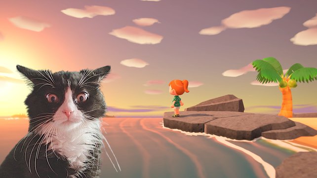 Wie viele Nook-Meilen könnt ihr in Animal Crossing haben? Eine Spielerin hat es jetzt herausgefunden. Bild: Nintendo / Pixabay