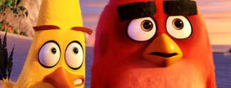 Wütende Vögel und grüne Schweine: Das erste Video zum "Angry Birds"-Film Wütende Vögel und grüne Schweine: Das erste Video zum "Angry Birds"-Film