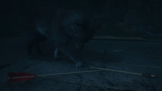 Unten bei der Quelle des Schicksals versteckt sich ein schwarzer Wolfswelpe. Havi will diesen tot sehen.