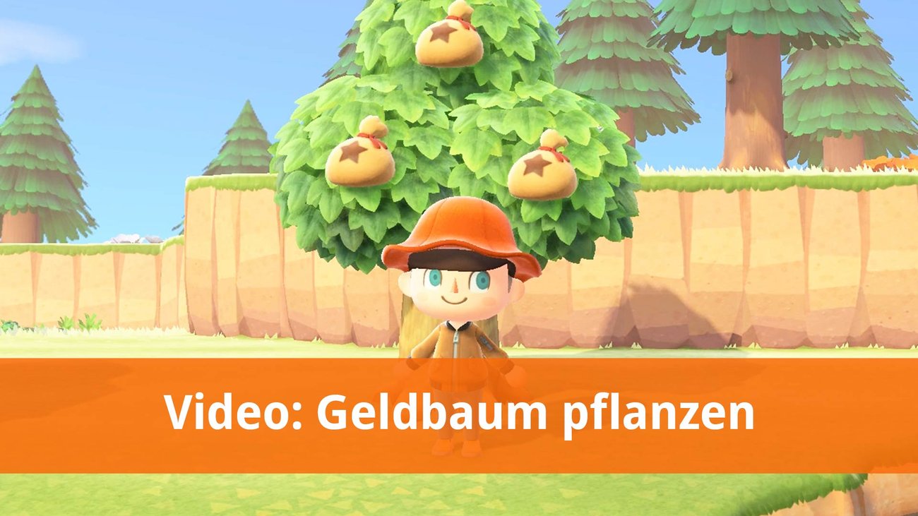 Animal Crossing New Horizons Aziza Coupons, Angebot und Trivia
