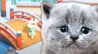 <span>Animal Crossing NH:</span> Nintendo hat Hiobsbotschaft für alle Fans
