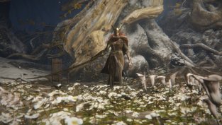 Malenia besiegen und Miquellas Haligbaum-Medaillon finden