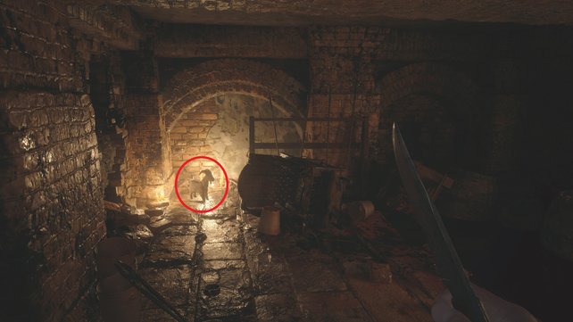 Wächterziege im Keller des Schlosses.