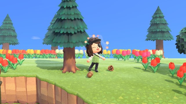 Eichel und Zapfen kündigen die neue Jahreszeit in Animal Crossing: New Horizons an.
