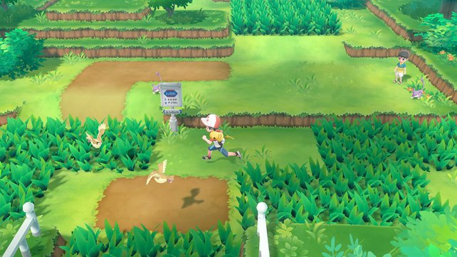 Wilde Pokémon sind in der Spielwelt sichtbar. Das hievt die Atmosphäre auf ein neues Level.