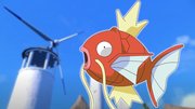 <span>Fisch übernimmt Switch:</span> Pokémon-Challenge endet in Kreditkartenbetrug