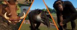 Alle Tiere