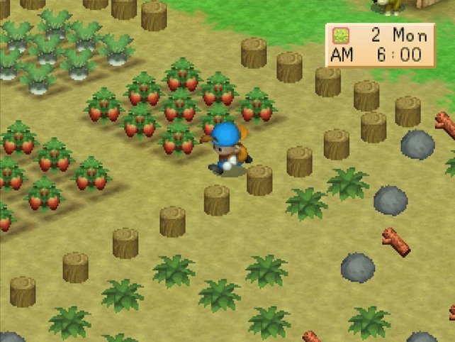 Gras zu mähen bringt euch kostenloses Tierfutter ein. Harvest Moon 64 ist der offiziell zweite Teil, erscheint aber nie in Europa. Dabei gilt er als einer der besten Vertreter der Reihe.