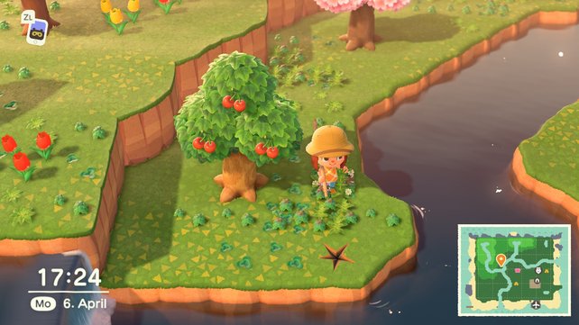 Jede Insel in Animal Crossing: New Horizons besitzt eine heimische Obstart.