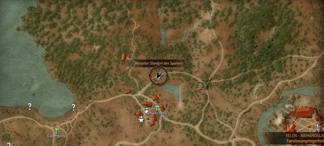 Witcher 3 Wildes Herz Spieletipps