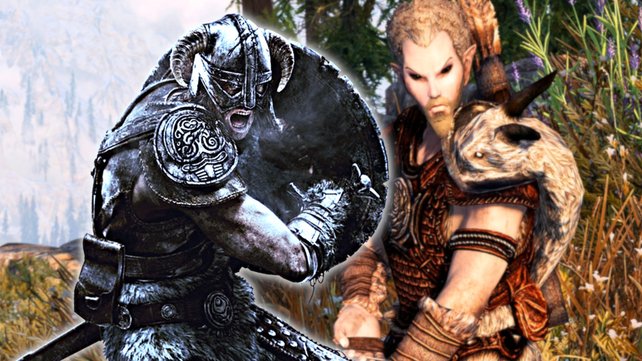 Ein Skyrim-Fan packt ein Problem des Rollenspiels an, das Spieler schon lange nervt. Bildquelle: Bethesda/ JaySerpa