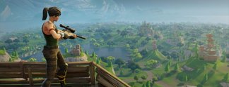 Fortnite-Petition: Battle-Royale-Spiel soll verboten werden
