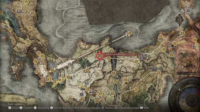 Die Karte zeigt euch den Fundort der Todberührten Katakomben, wo eine Todeswurzel versteckt ist.