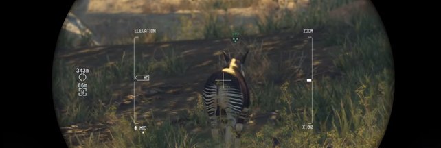 Snake visiert ein Okapi an, vergesst nicht Betäubungsmunition zu verwenden