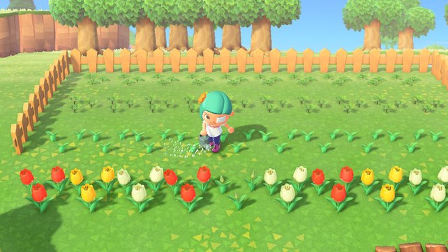 Mit der verbesserten Gießkanne könnt ihr mehrere Blumen gleichzeitig gießen (Quelle: Screenshot spieletipps).