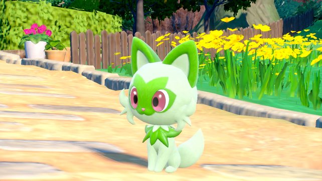 Felori spitzt schon gespannt die Ohren. (Bildquelle: The Pokémon Company)