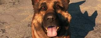 World Dog Awards: Gewinnt Dogmeat, D-Dog oder doch Barbie?