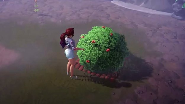 So sieht ein Busch aus von dem ihr in Disney Dreamlight Valley Kaffeebohnen ernten könnt (Bildquelle: Screenshot spieletipps.de).