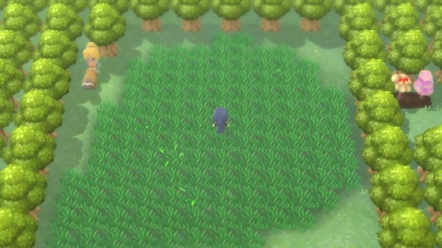 Ihr könnt den Pokéradar nur im Gras einsetzen. Löst einen Kampf bei den raschelnden Feldern aus, um die Shiny-Kette zu starten.