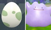 <span>Pokémon Karmesin & Purpur: </span>Eier bekommen und Ditto fangen