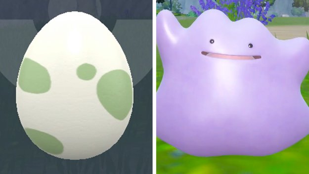 Pokémon-Eier und Ditto, das geht auch in Pokémon Karmesin und Purpur Hand in Hand. (Quelle: Screenshot spieletipps)