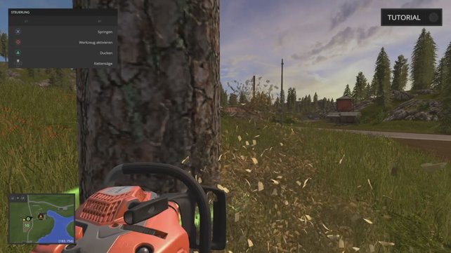 Haltet eure Kettensäge schön gerade.