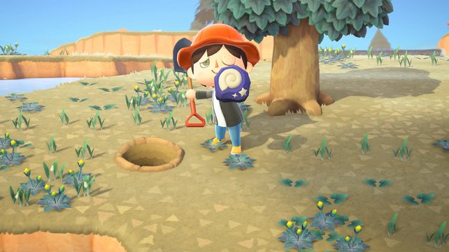 So sehen die ausgegrabenen Fossilien in Animal Crossing: New Horizons aus.