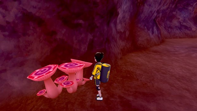So sehen die Dyna-Pilze in Pokémon Schwert & Schild: Die Insel der Rüstung aus.