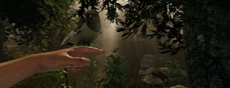 The Forest: Das sind die ersten Wertungen